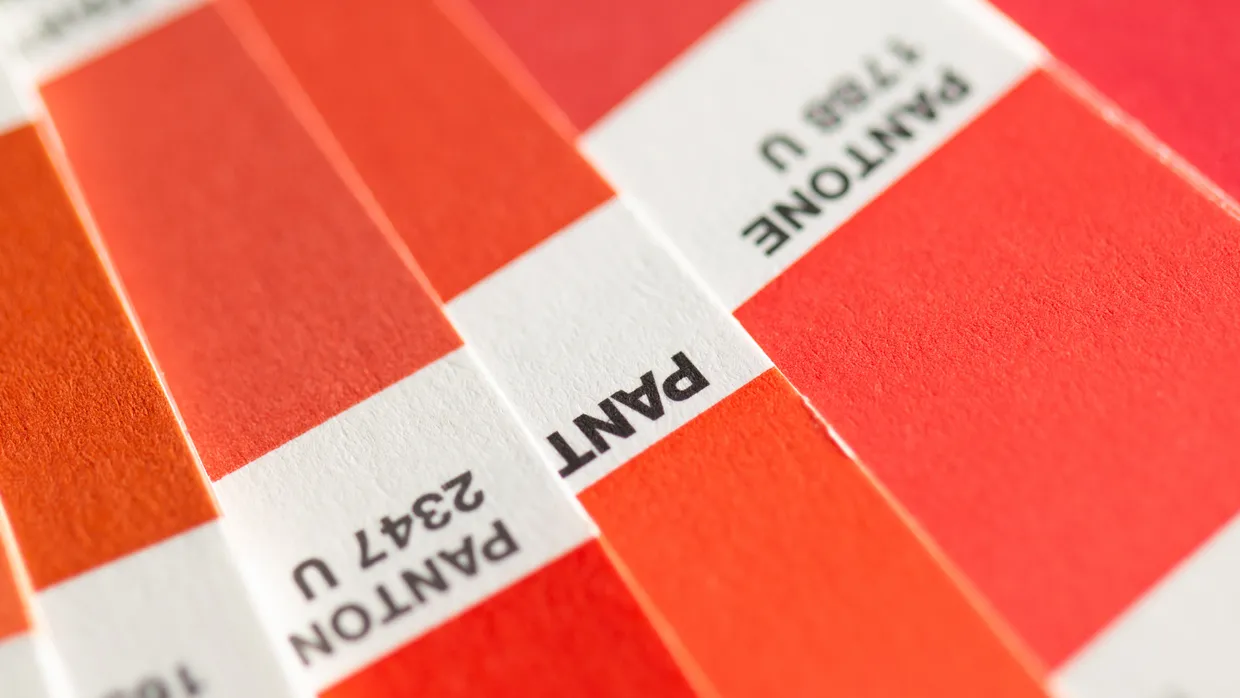 Business Systems Project Implementations/Upgrades